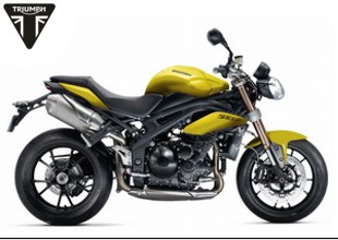 Speed Triple 1050 ab FIN461332