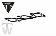 Dichtung Drosselklappengehäuse (nur 2x lagernd) Daytona T595 / 955i