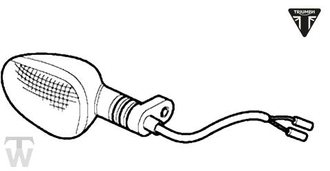 Blinker Daytona 675 bis FIN381274