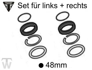 T2045469 Gabeldichtsatz L+R schwarz 48mm