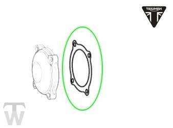 Ausgleichswellendeckeldichtung  Tiger XRT ab FIN855532