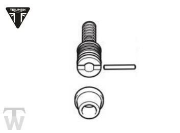 Reparatursatz Hauptbremszylinder Tiger 900 Rally Pro bis BP4995