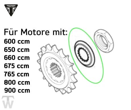 Ritzel Sicherungsblech klein (nur 1x lagernd) Daytona 765 Moto2