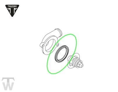 Thermostat Sealing Annulus  Tiger XRT from VIN855532
