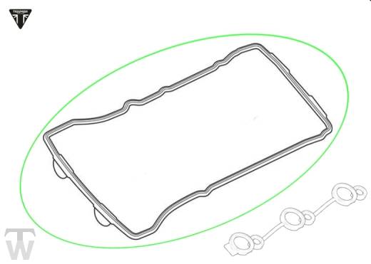 Ventildeckeldichtung  Speed Triple 1200 RS