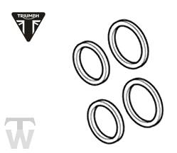 Bremszange RepSatz Dichtungen (nur 1x lagernd) Street Twin ab FIN AB9715