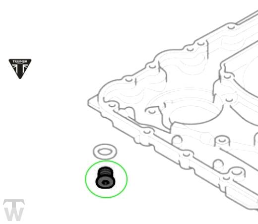 Ölablassschraube M14 Inbus  Scrambler 1200 XE ab AC8499