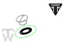 Öleinfüllschraube Dichtring Street Twin ab FIN AB9715