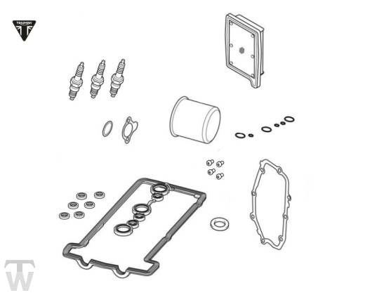 Servicekit 660ccm *(nur 1x lagernd) Trident 660