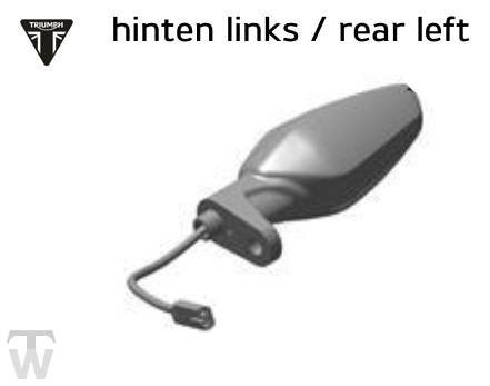 Blinker hinten links