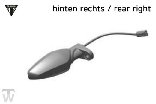 Blinker hinten rechts