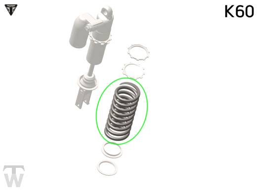 Feder hinten einzeln K60