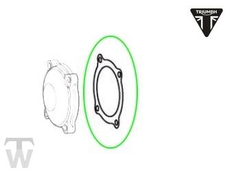 Ausgleichswellendichtung Tiger 800 Sport