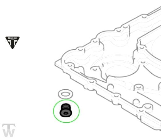Ölablassschraube M14 Inbus Speed Twin RS