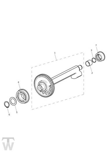 Balancer Shafts - Tiger 1200 XRx