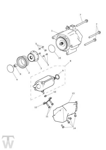 Lichtmaschine Anlasser - Tiger 1200 XRx