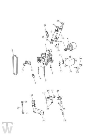 Ölpumpe Schmierung - Tiger 1200 XRx