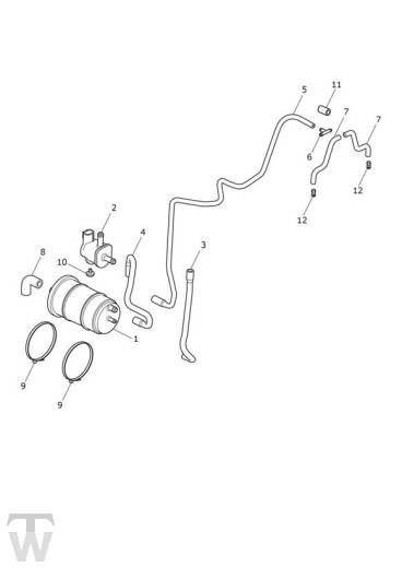 EVAP System - Bobber Black