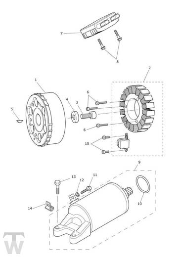 Anlasser Lichtmaschine - Tiger XCx ab FIN855532