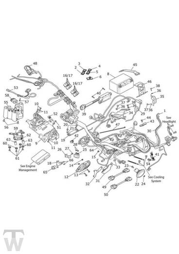 Hauptkabelbaum - Speed Triple RS ab FIN867601