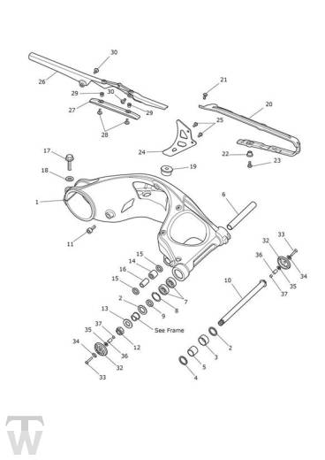 Schwinge - Speed Triple RS ab FIN867601