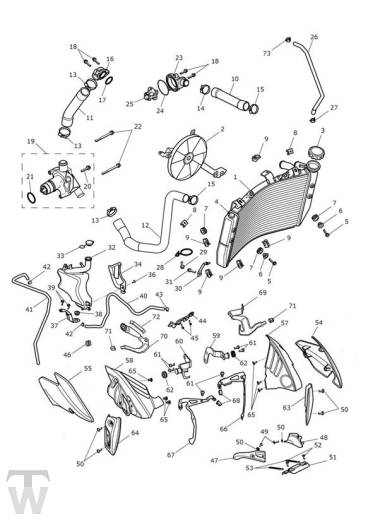 Kühlsystem - Speed Triple RS ab FIN867601