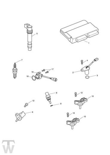 Motormanagement - Speed Triple RS ab FIN867601