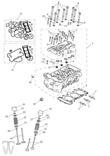 Zylinderkopf Ventile - Explorer XC