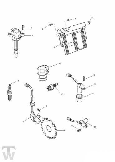 Motormanagement bis FIN089736 - Daytona T595 (955)