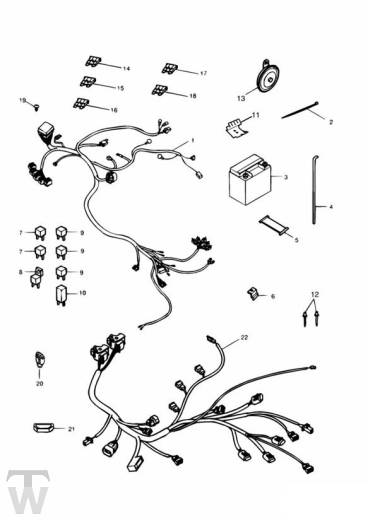 Hauptkabelbaum Elektrik - Speed Triple 885 955 bis FIN141871
