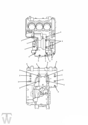 Crankcase Screws - Speed Triple 885 955 up to VIN141871