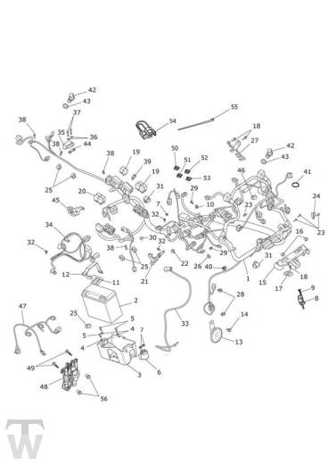 Hauptkabelbaum Elektrik - Trophy 1215 SE