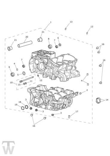 Crankcase - Tiger 800 XC