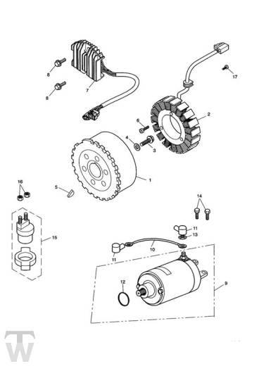 Anlasser Lichtmaschine - Tiger 955i Speiche