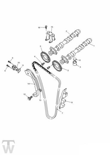 Nockenwellen Steuerkette - Tiger 955i Speiche