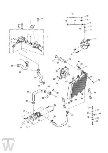 Kühlung - Tiger 955i Speiche