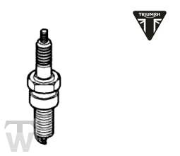 Spark TR DPR6EA-9  Thunderbird Night/Storm