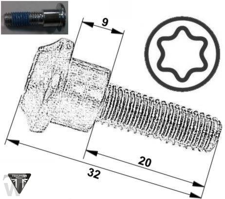 Bremsscheibenschraube 32mm  Speed Triple 1050 ab FIN333179