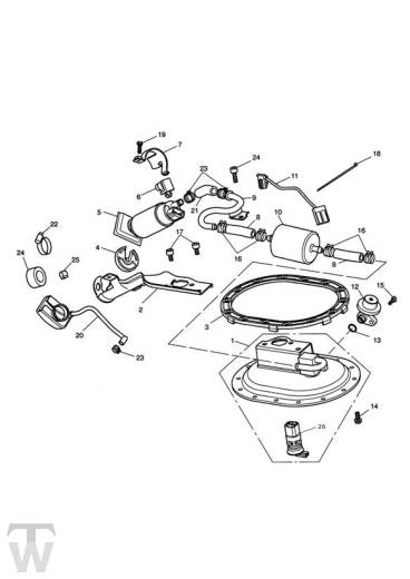 Benzinpumpe - Thruxton 900 EFI