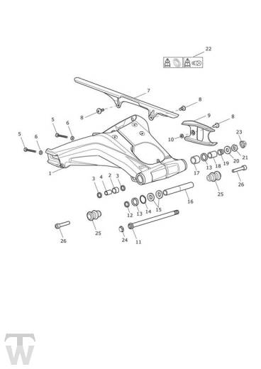 Schwinge mit Bobbins - Daytona 675 ab FIN564948