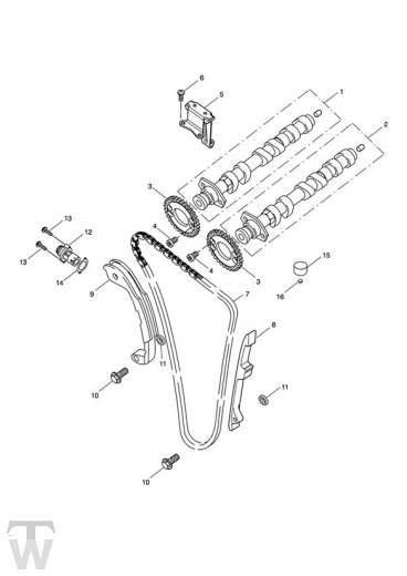 Nockenwellen Steuerkette - Speed Triple 1050 bis FIN333178