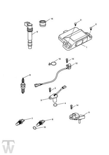 Motormanagement - Speed Triple 1050 ab FIN333179