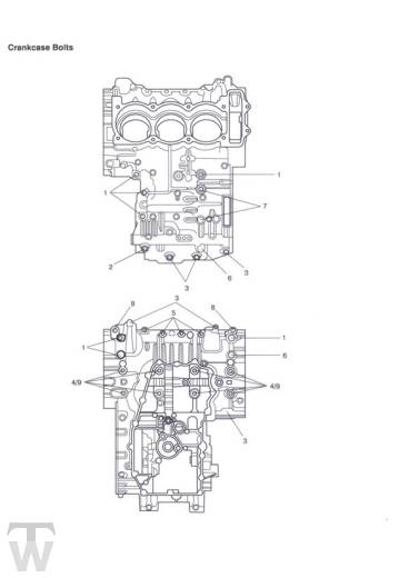 Motorgehäuse Schrauben - Tiger1050 & SE