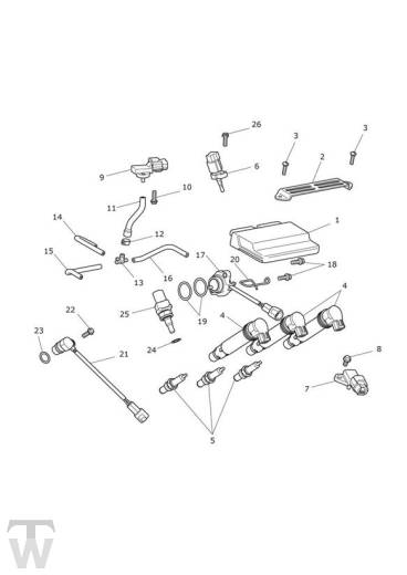 Motormanagement - Street Triple bis FIN560476