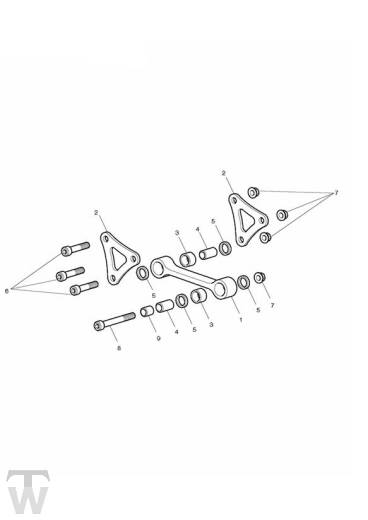 Federbein Umlenkung - Street Triple R bis FIN560476