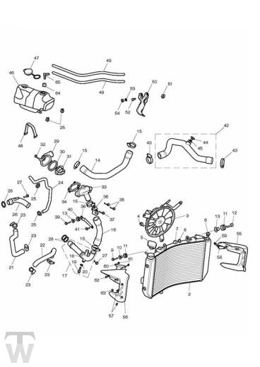 Kühlung - Street Triple R bis FIN560476