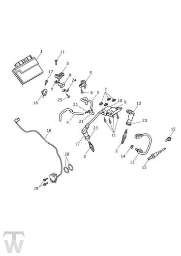 Motormanagement - Bonneville T120
