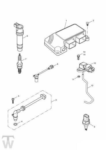 Motormanagement - Daytona 600 & 650