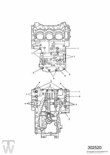 Motorgehäuse Schrauben - Speed Triple 955i ab FIN141872
