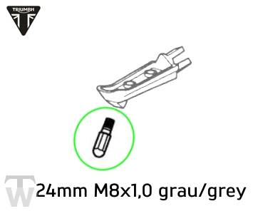Peg Bank Angle 24mm (only 2x available) Tiger 1050 & SE